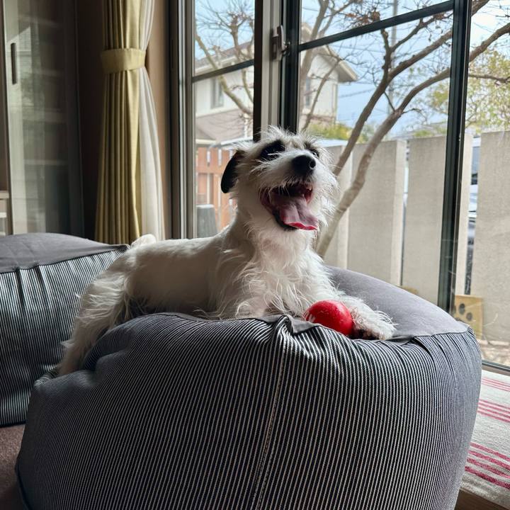 004f6c29 e177 445d 9701 f0ce2fae51fd 1711190959818