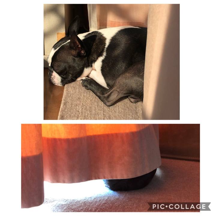 004f8a38 1cfc 42b0 bc75 d1d1c6753e6b 1552608854539