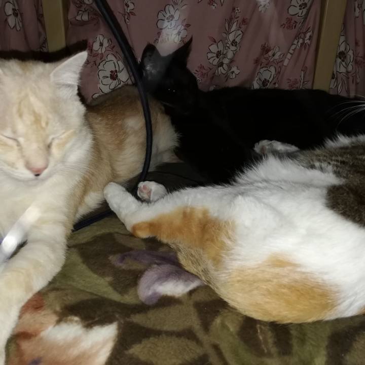 004f9fda 8a2a 4874 a876 bcbe74bbf967 1701386485788