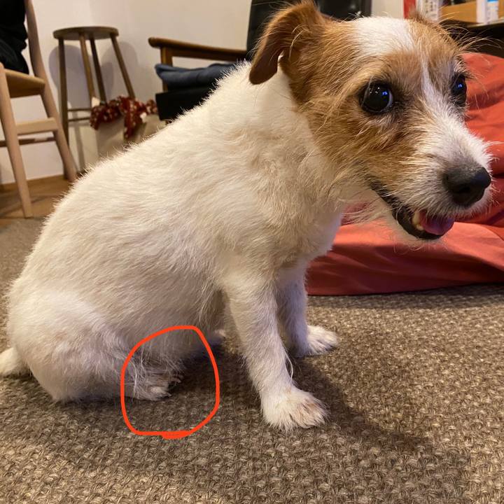 004fd1f4 ce45 4b04 a7c5 8461f8fa540c 1660129494776