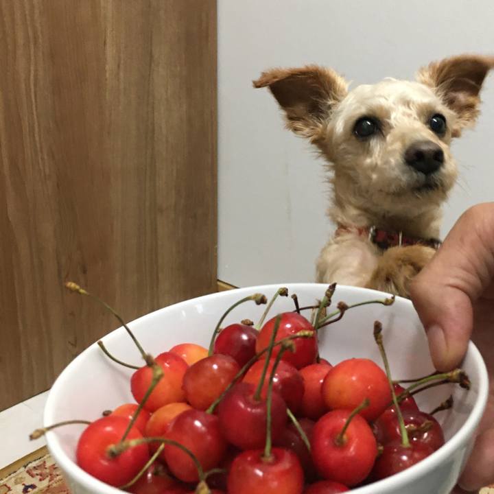 004fdbcb f3da 48e0 aa9b c927fc20ab5f 1593291893179