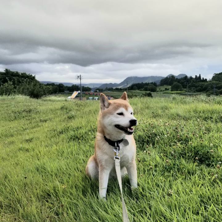 005003bc c66d 4809 91b1 e2d6e29a0ef7 1628583777105