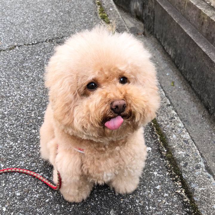 00501a92 8a7d 4d72 ad1b a9b5db4d8b96 1516334677151