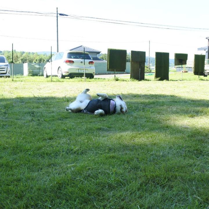 005045a4 1b34 4f92 b906 e5409993506d 1664629510093