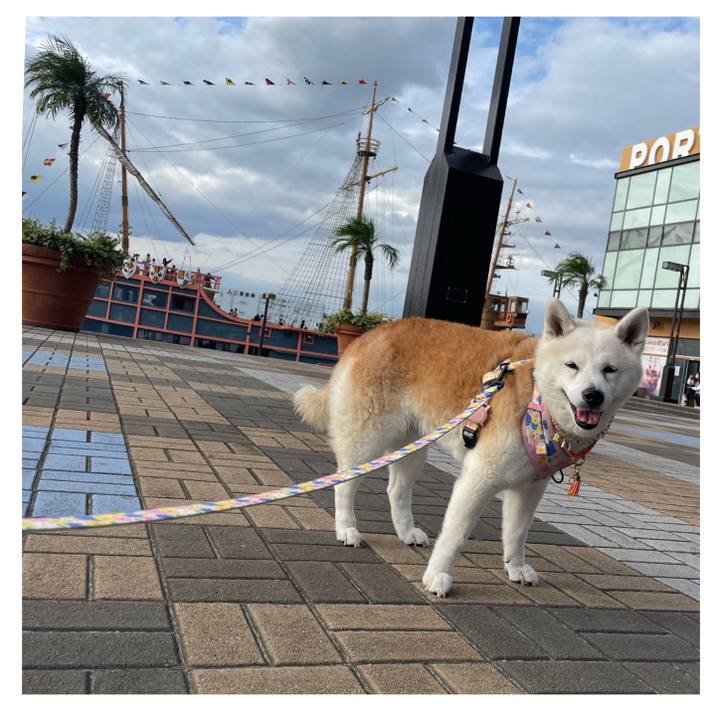 00506f2e ef84 4914 9a4b 7f4b22f66569 1696769836515