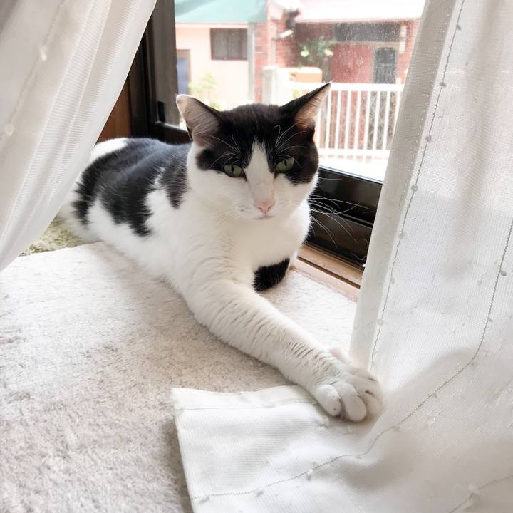 005091c7 5526 440d 8037 a5da4411da3e 1529679614067