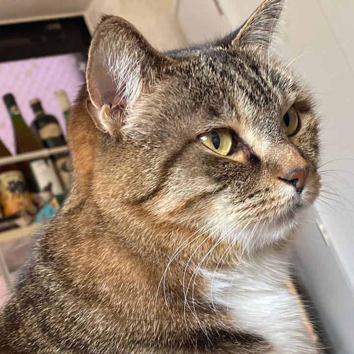 0050a11d 0464 4fbe bcb4 16f88f32c066 1643587977315