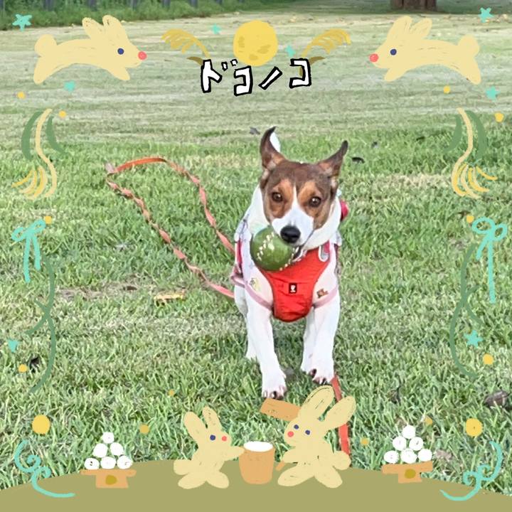 0050b223 301f 44c6 8fa6 cc1859e2515c 1726875075658