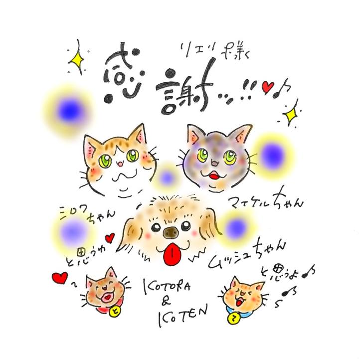 0050c8e9 19dd 4590 85e4 df4d9de9749a 1573570573500