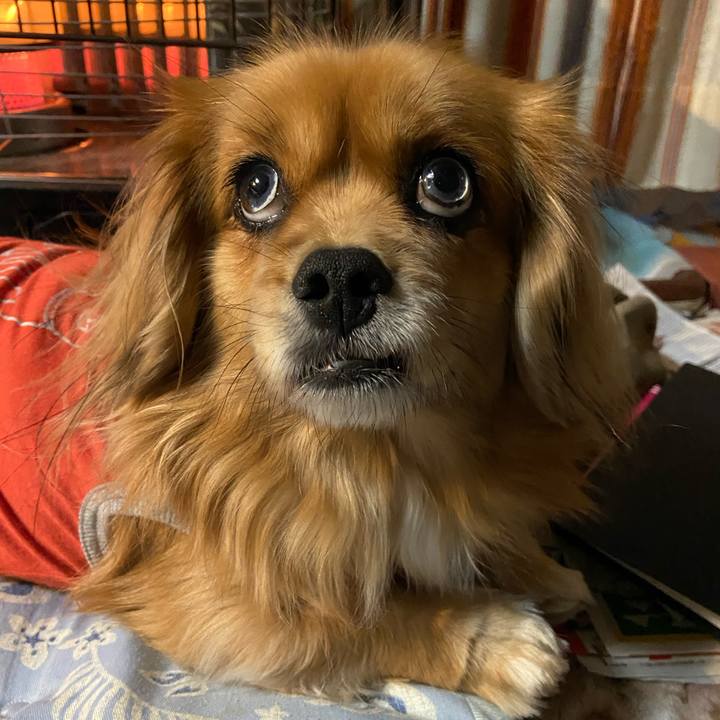 0050c90c 472b 4a0b 9e93 109e0c8c604d 1610055517306