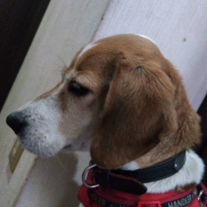 0050e79e f750 47ee 893c 810b0d79f899 1705825783559