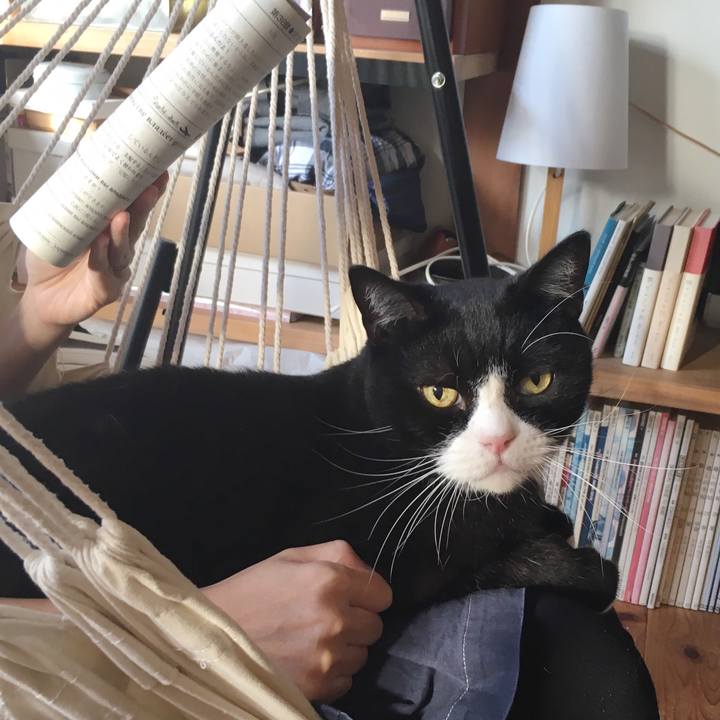 005111cc 8a16 4388 85ec 39579b827287 1539092050854