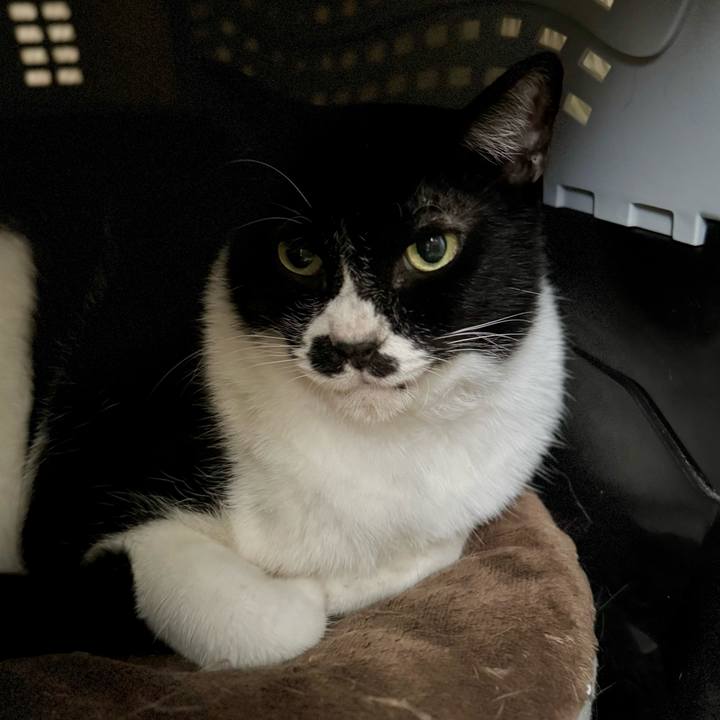 00512538 8800 4a39 8a07 350f44d621ec 1759021430781