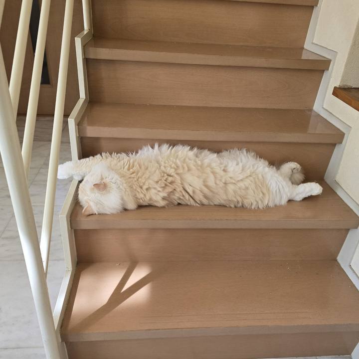 00512642 9461 4183 b359 2eb61c64ac28 1759893800902