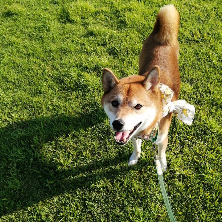 0051358a 6f65 49ec 895d 6664712f4f6d 1630310306134