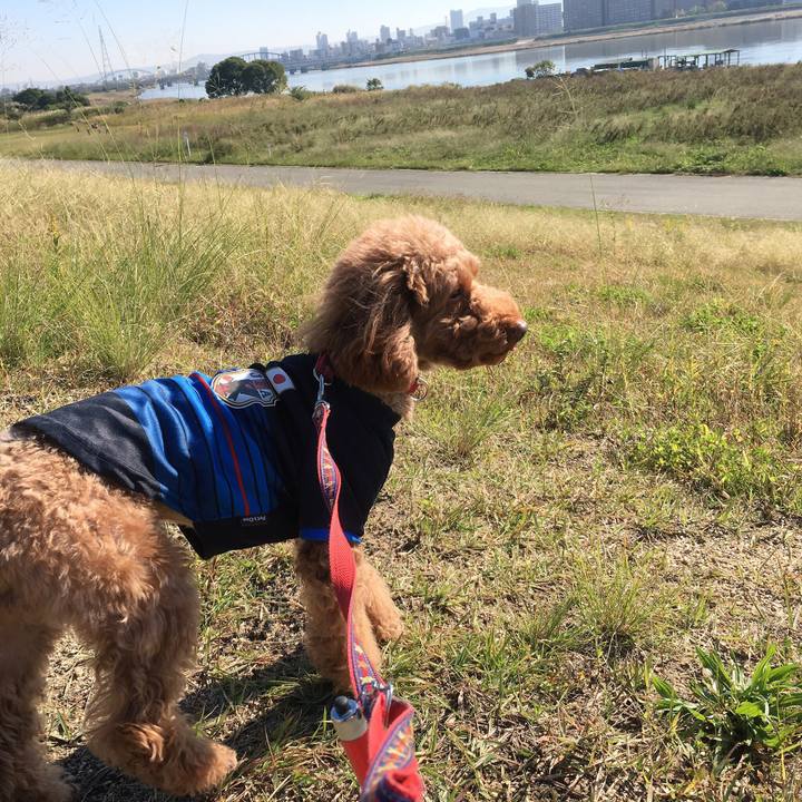 00513d4a ac87 416d a588 c5e3ee1d9ad3 1509501517163