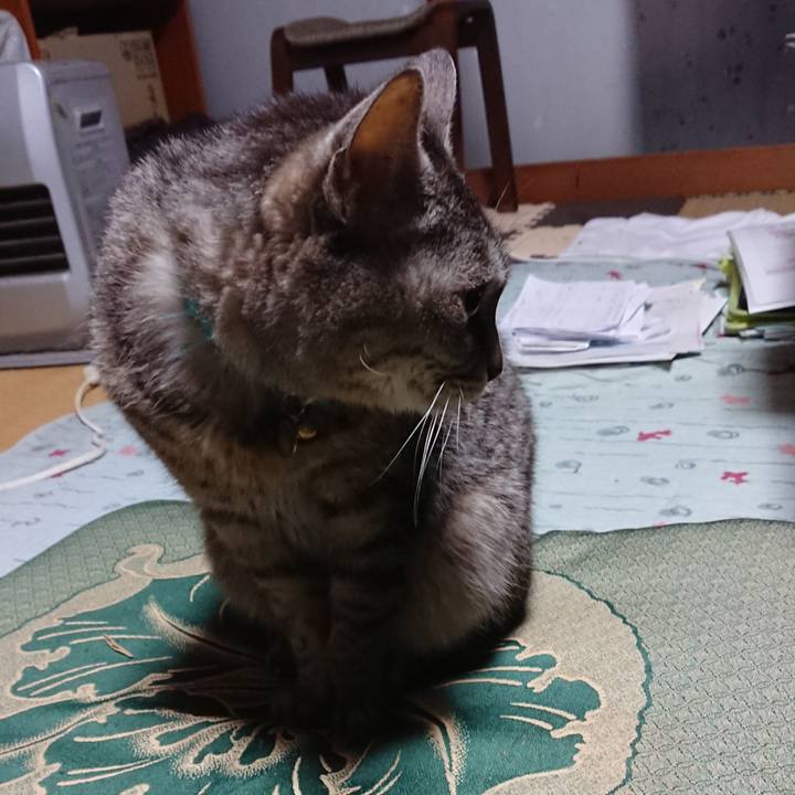 00515071 fec2 4b26 b157 62b813b25690 1552555853582