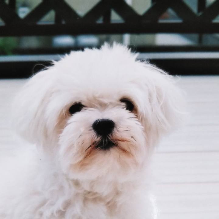 00516b82 9832 4f57 84bd bc5b88e3ac3c 1597120551152