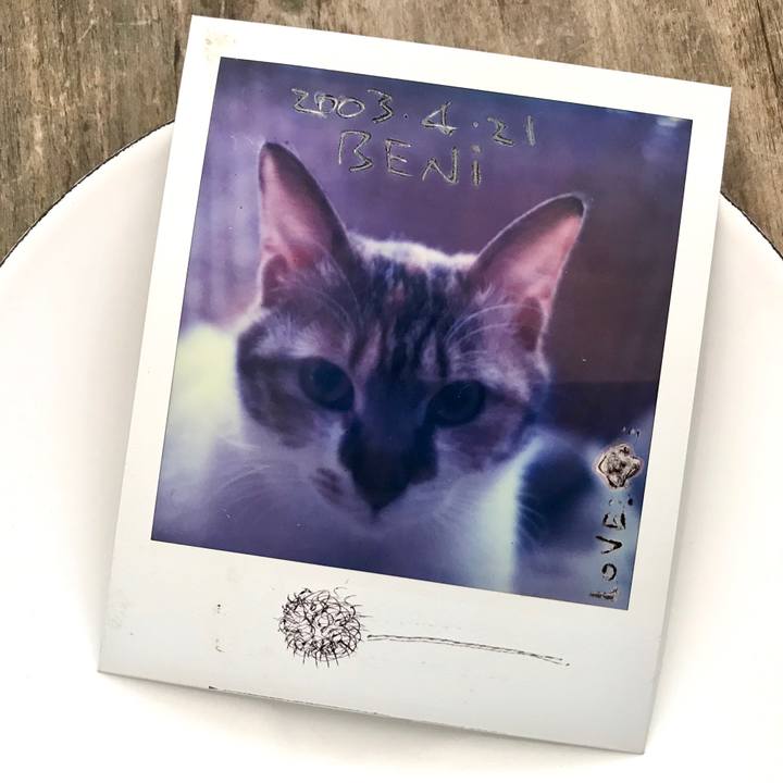 00516cdc 86a8 4c18 87a5 e62c16925ce4 1585103037903