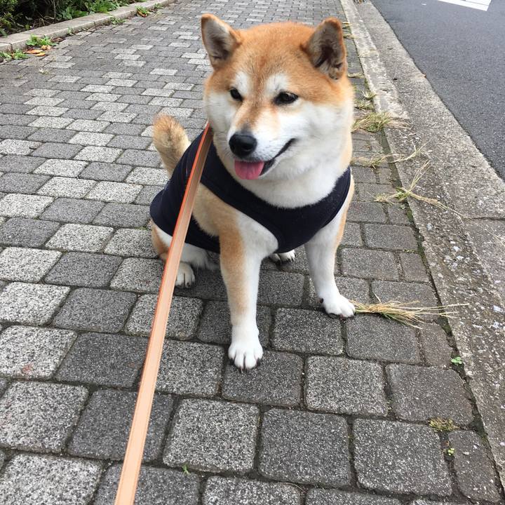 00517204 3c51 4098 a771 75d3c8da003b 1571279758992