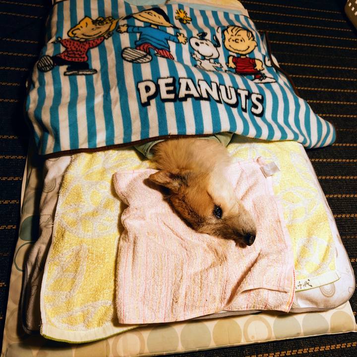 00519088 a742 4252 b17f 1b10f6e09326 1665328902529