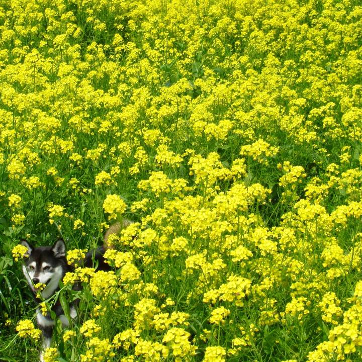 00519b2f 2b43 429f 84ae 864b1ee0fddc 1586318185098