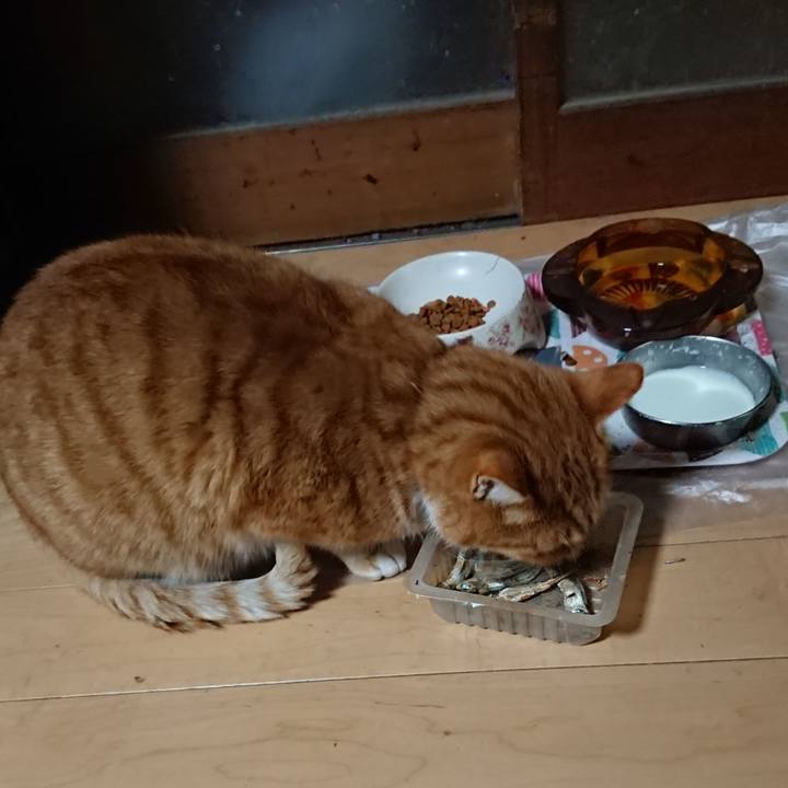 0051c6c3 77e0 4d95 afc0 ec20a01fb9c7 1608669415260