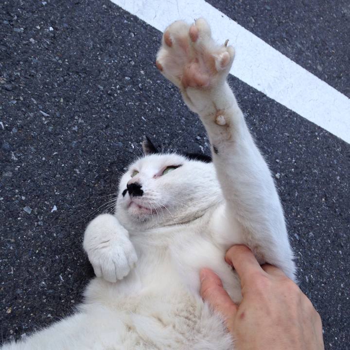 0051d5fe 872c 4fbb a725 0b9b51ffeb3c 1509354522484