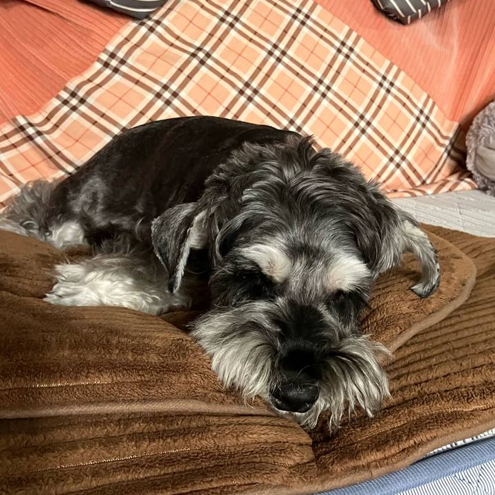 0051fd30 6c4f 4f9f 9654 d869459039d0 1729321364404