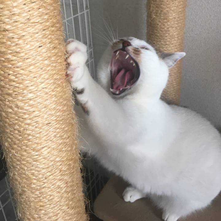 005212d9 7327 444a 861a 681238656404 1589088778912