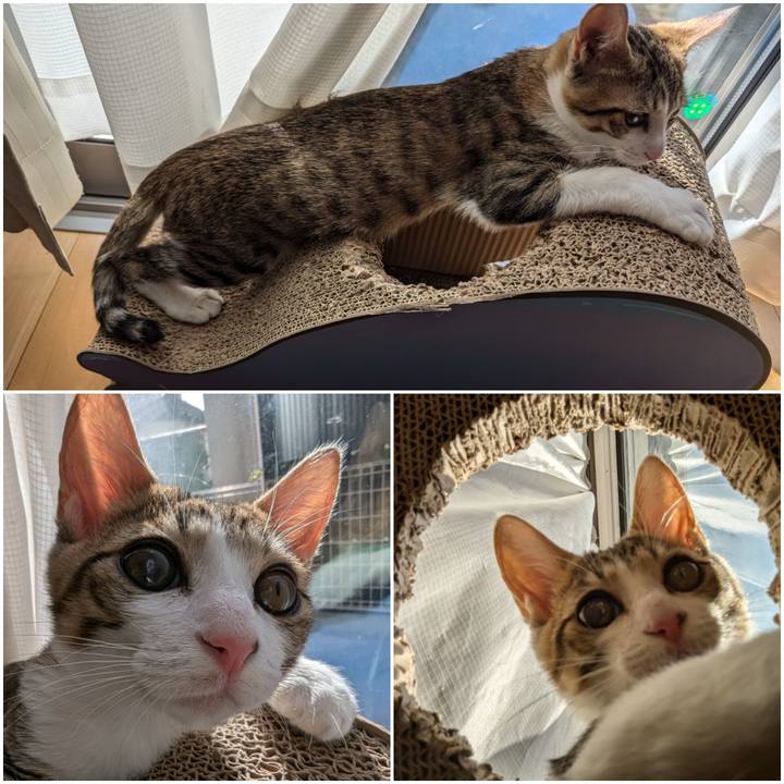 005222cd 023c 4698 b3fd dd059ba6ec71 1731562995072