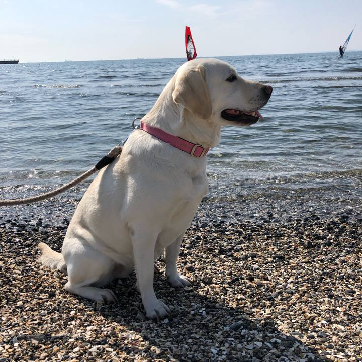 00522824 bcdd 4735 aaa0 24fc8139069d 1583055517088