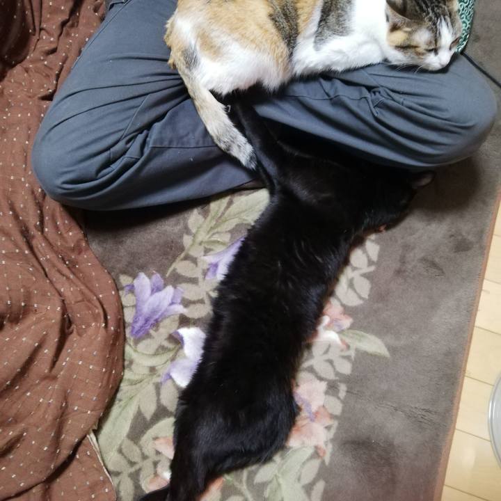 005247b6 09d7 4fe0 9617 c288749a0f5a 1642027982326