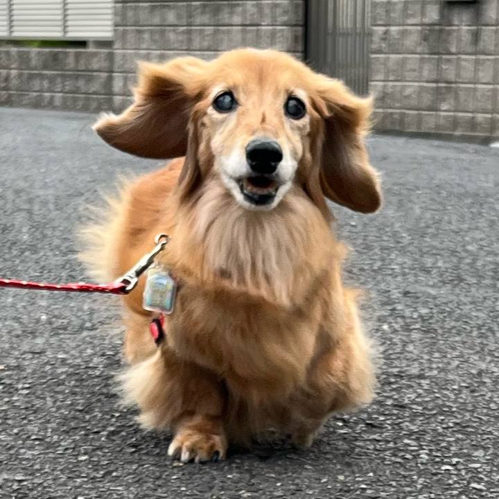 00525c8e 832d 4520 94bc b7817324cf82 1682777875074