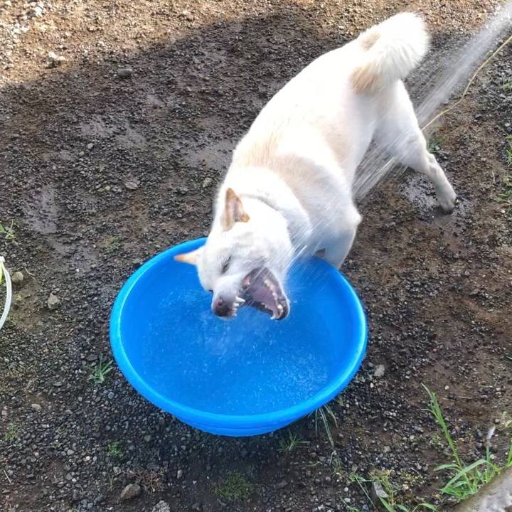 005269fb b0b8 40d6 824c 1cb895121be7 1565594291935