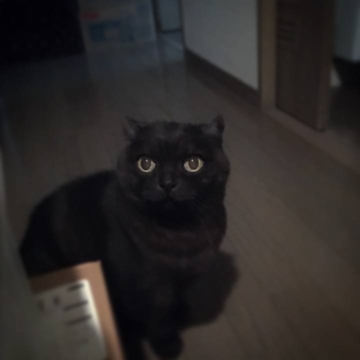 00527417 c77c 49af b14f a05bdbd3bfe2 1578352937939