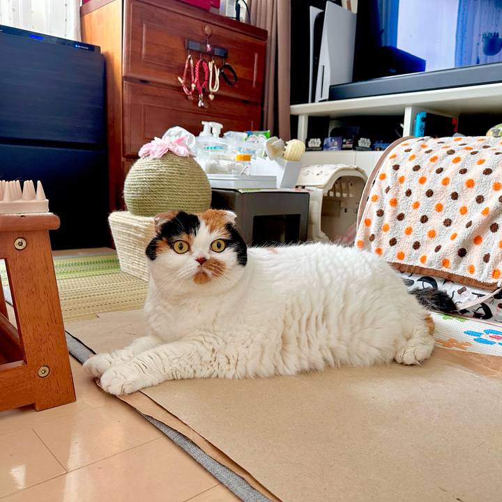 0052ab13 e1aa 4f17 b9bb 2ef32395686b 1694480440524