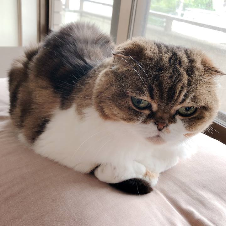 0052b587 5187 4574 b4d5 ca5f00af746b 1560052838908