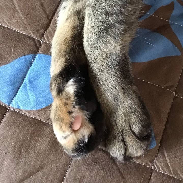 0052b967 b70c 46fa 894f 45fa12dc7e7e 1590656142536