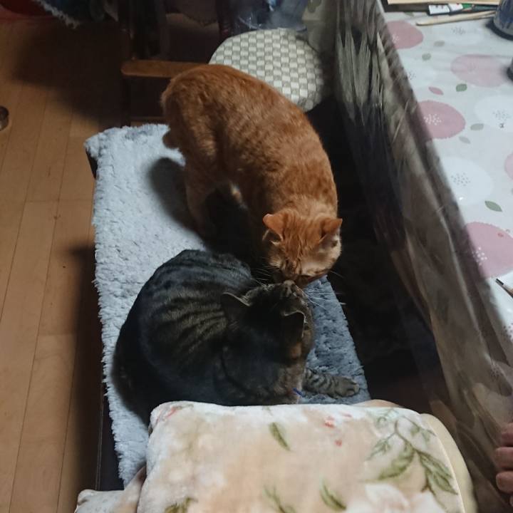 005328cf a7cb 4aad 88c7 61e37d837def 1643370884538