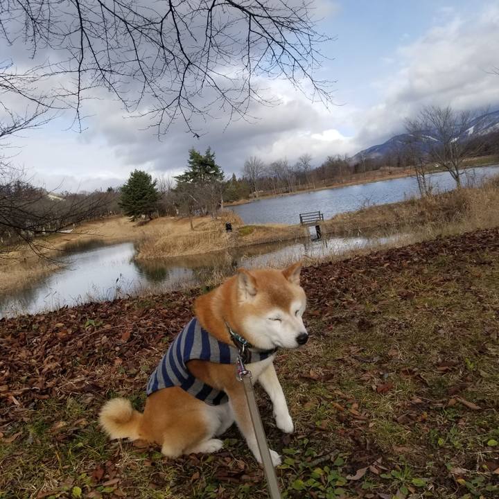 0053413c 13ea 4f9f 8456 bd0d365a964d 1703047264721