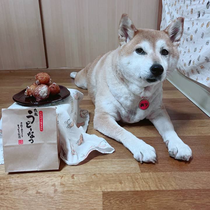 00535767 7188 4852 a699 f1b619c98860 1722588160914