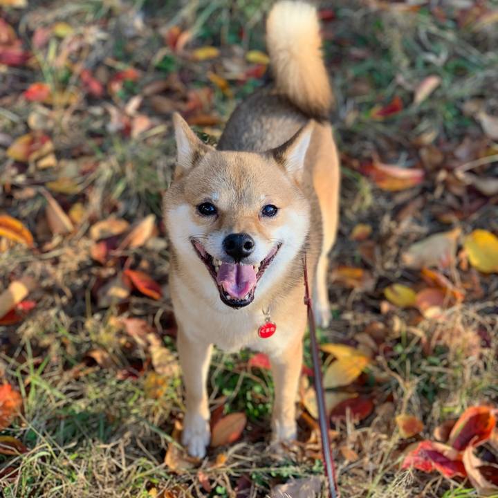 005376f6 381c 48f6 9999 5fc27eaaa3a8 1763362765415