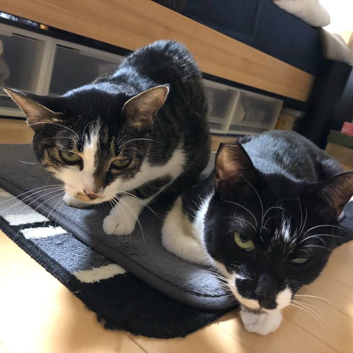 00538909 1bb9 44b8 9f61 0a229a7aa246 1609772212614