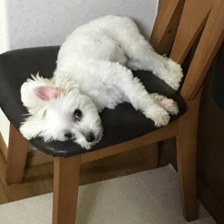 0053bb0f 8eb8 4624 99b9 8d738a00371f 1565866745821