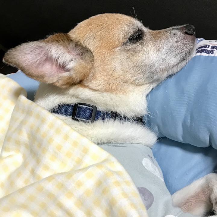 0053fbda ca03 4fab b861 e79f3bf6ad35 1656298561619