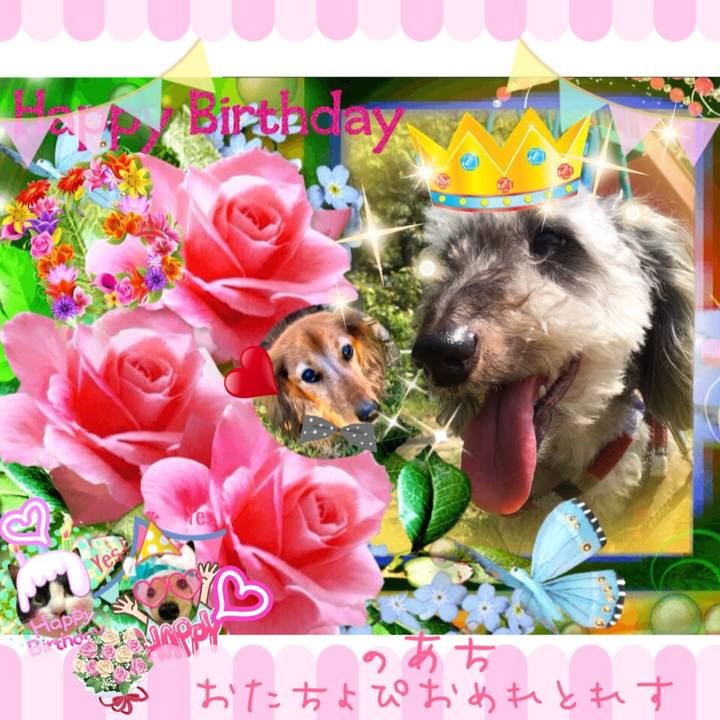 0053fbf3 92ae 4cad 80ad 386105496227 1520766120069