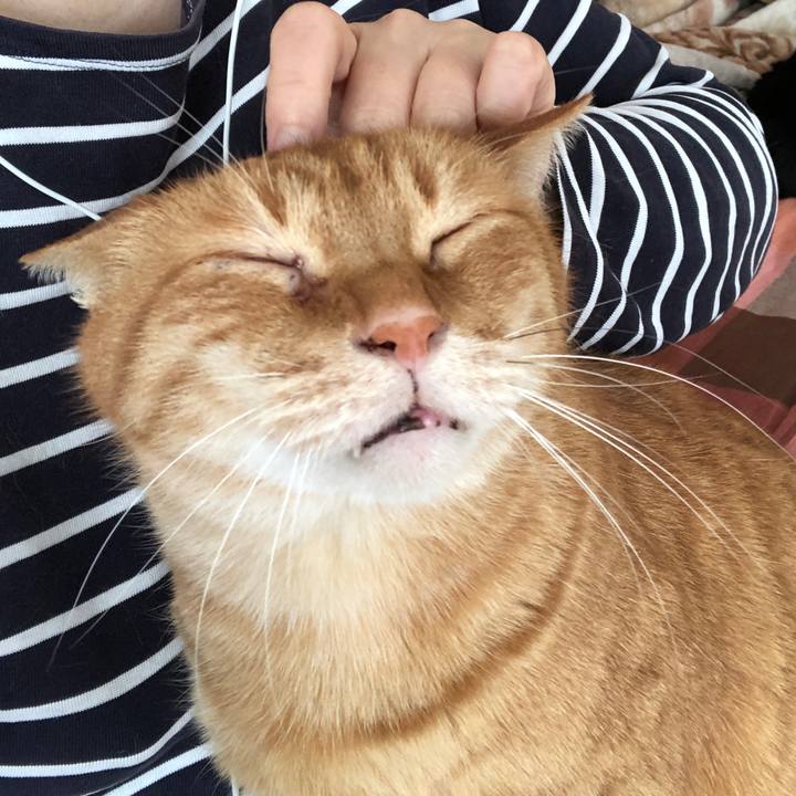 00542662 65c9 422b b732 4b23d15df6d1 1676120304473