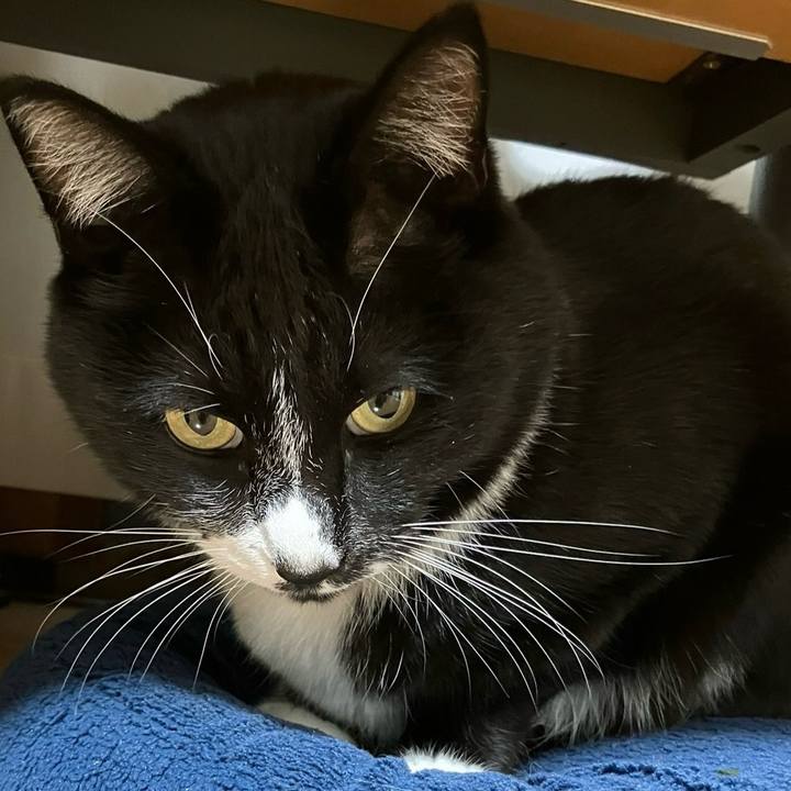 00542cd7 967d 443d bd3c 77aee7c384a0 1703474144048