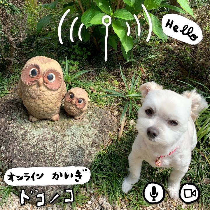 00543b16 71d2 4441 9862 564c86ca7428 1590751702218